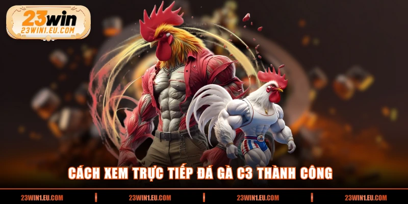 Cách xem trực tiếp đá gà C3 thành công  