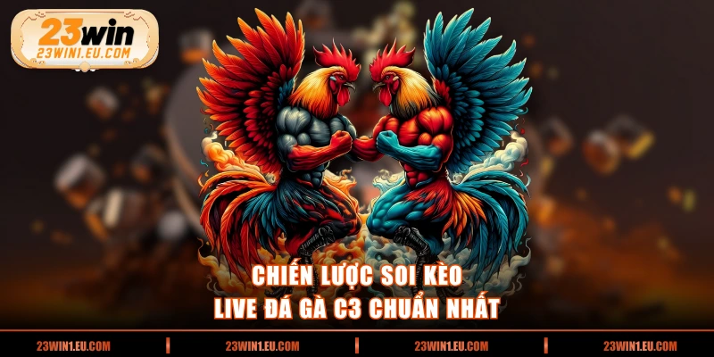 Chiến lược soi kèo live đá gà C3 chuẩn nhất 