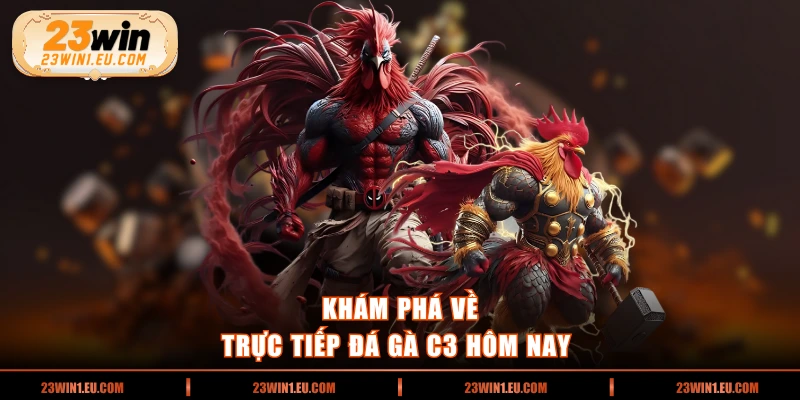 Khám phá về trực tiếp đá gà C3 hôm nay 